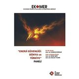 Enerji Güvenliği Dünya ve Türkiye Paneli 2010 - kollektif