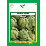 Enginar Tohumu 1 Paket 20 Adet Sebze Tohumları Enginar N11.1415