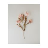 English Home Bauhinia Plastik Tek Dal Yapay Çiçek 84 cm Açık Somon
