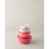 English Home Blitz Plastik 4'lü Saklama Kabı 220 ML-428 ML-687 ML-1100 ml Renkli