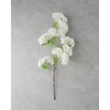 English Home Cherry Branch Tek Dal Yapay Çiçek Beyaz