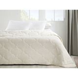 English Home Comfy Pamuk Yorgan 155 x 215 cm Beyaz Tek Kişilik Micro Elyaf Dolgu Malzemesi