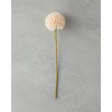 English Home Dandelion Tek Dal Yapay Çiçek Şampanya - Şampanya Rengi