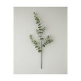 English Home Eucalyptus Tek Dal Yapay Çiçek 80 Cm Yeşil