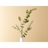 English Home Eucalyptus Tek Dal Yapay Çiçek Yeşil