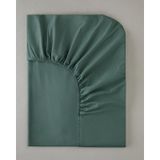 English Home Novella Premium Soft Cotton Tek Kişilik Plus Lastikli Çarşaf 120x200 Cm Koyu Seledon Koyu Seledon