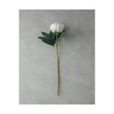 English Home Peony Tek Dal Yapay Çiçek Şampanya