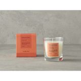 English Home Vanilla Wind Aroma Kokulu Mum Beyaz Renkli