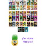 Enid Blyton 43 Kitap Seti + Çim Adam Hediye - Hayır