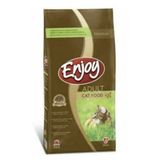 Enjoy Kedi Mamasi 1 Kg