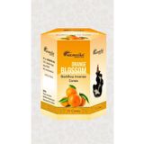 ENJOY SHOP Portakal Çiçeği Kokulu Geri Akışlı Tütsü Konikleri Backflow Cones 10 Adet / 10 Pcs
