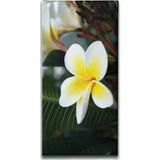 Enma Life Plumeria İslami Hat Sanatı Kanvas Tablo