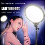 Ensiga Profesyonel Ring Light LED Influencer Güzellik Salonu Tatto Tiktok Youtuber Çekim Dolgu Işığı - Beyaz