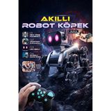 Ensiga Uzaktan Kumandalı Akıllı Robot Köpek 8 Tekerlekli LED Işıklı Eğlenceli Oyuncak 6 Yaş ve Üzeri - Gri
