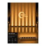 Enso Tasarım 9W 30 cm Gün Işığı LED Wallwasher Dış Cephe Duvar Cami Bahçe Aydınlatma