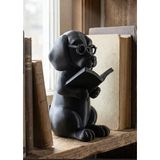 Entelektüel Köpek Dekoratif Biblo - Kütüphane ve Çalışma Masası Aksesuarı - Modern Ev Dekoru Hediyelik Figur/The Intellectual Dog - Library & Desk Decor