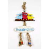Entude Renkli Baykuş Kapı Süsü Dekoratif Hoşgeldiniz