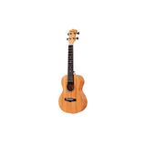 EnYa EUC-25D Concert Ukulele w/Gigbag Dahil