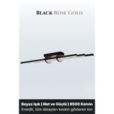 ENZO LIGHT Cosmo Rose Gold 6500K LED Tavan Avize – Kumandalı Dim Edilebilir – Aşağı Işık 30 x 60
