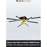 Enzo Light Nova 8 Gold LED Tavan Avize – Kumandalı Dim Edilebilir – Aşağı Işık - Beyaz Işık