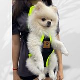 Epatim Kedi Köpek Ana Kucağı - S - Fıstık Yeşili