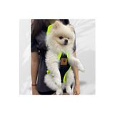 Epatim Kedi Köpek Taşıyıcı Ana Kucağı Xxs Beden