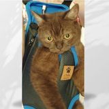 Epatim Kedi ve Köpek Ana Kucağı - L - Mavi
