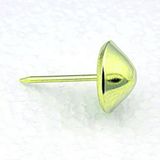 Epilons - Altın Parlak Konik Kabara / Raptiye 16 Mm 300 FRTKGT55TK-TK-OZK-APKK16300