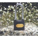 Epilons Gri Döküm Kısa Asma Kilit 40mm FRTKGT55TK-TK-YM-1038