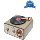 Epilons Metalik Nostaljik Tasarım Plak Çalar Görünümlü Radyolu Bluetooth Hoparlör Retro Müzik Plak - Renkli