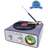 Epilons Metalik Nostaljik Tasarım Plak Çalar Görünümlü Radyolu Bluetooth Hoparlör Retro Müzik Plak