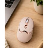 Epilons Şarjlı Kablosuz Mouse Sessiz Tıklama Bluetooth ve USB Destekli - Renkli