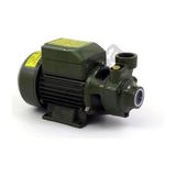 Epilons Style QB60 0.5 Hp Elektrikli Su Dinamosu