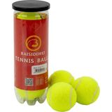 Epilons Tenis Topu 3’lü Set Dayanıklı Antrenman ve Maç Topları - 001-Renkli