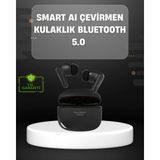 Epilons Yapay Zeka Destekli Bluetooth Kulaklık Anlık Çeviri ve Gürültü Engelleme - Diğer
