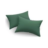 Eponj Home 2li Yastık Kılıfı Monstera Kombin Yeşil