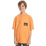 Eqbzt04706 Back Flash Ss Youth Turuncu Erkek Çocuk T-Shirt