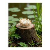 EQMQ STORE KOZMETİK Mini Kalpli Dekoratif Kokulu Sepetli Beyaz Sabun (Sepet içerisinde 20 Adet 2*2 cm)