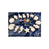 ER ART DECOR DENİZ CANLILARI TAŞ BOYAMA SETİ