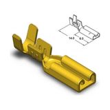 Eraks Car Accesories Sf1/2d Izolesiz Mikro Dişi Fiş Terminal Soket Kablo Ucu (10 Adet)