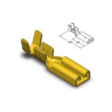 Eraks Car Accesories Sf1/2d Izolesiz Mikro Dişi Fiş Terminal Soket Kablo Ucu (100 Adet)