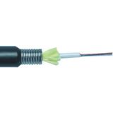 Erat 12 CORE SM SLT FO D 652 D 1 m Zırhlı Kablo