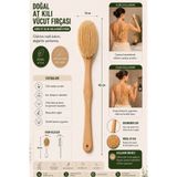 ERATOS Doğal At Kılı Selülit Fırçası Beyaz 45 cm Gürgen Uzun Saplı Sırt ve Vücut Banyo Fırçası