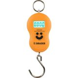 Erbuse Dijital El Terazisi Kantar 50 Kg
