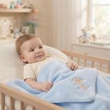 Erca Home Tekstil Ürünleri Mavi Welsoft Battaniye 1 Ay,2 Ay,3 Ay,6 Ay,9 Ay 90 X90 cm Erkek Çocuk İçin Yumuşak Dokulu - 90 X 90