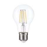 Erd-283 E27 220v 6w 4000k Filament Led Ampul