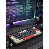 Erdineks %60 Mini Mekanik Oyuncu Klavyesi - Mavi Switch Rgb Işıklı Type-C Kablolu Numpadsiz Gaming Klavye - Siyah