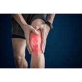 Erdo Ticaret Nautubone Bitkisel Formüllü Ağrı Masaj Kremi 50 ml + Painorub Muscle Paine-Relief Cream 50 ml - Belirtilmemiş