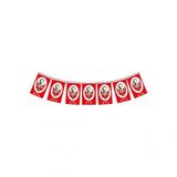 Eren İpli Atalı Bayrak Orta Boy 13 X 7.5