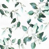 Erfoni Yeşil Yaprak Duvar Kağıdı Soyma ve Yapıştır Duvar Kağıdı Banyo için Çiçekli İletişim Kağıdı 45 cm x 499 cm Okaliptüs Duvar Kağıdı Soyma ve Yapıştır Vintage Çiçek Dekoratif Çıkarılabilir Duvar
